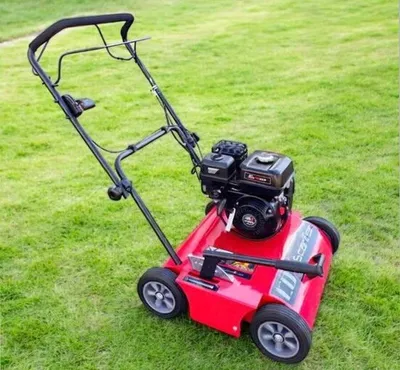 Cox Lawn Dethatcher